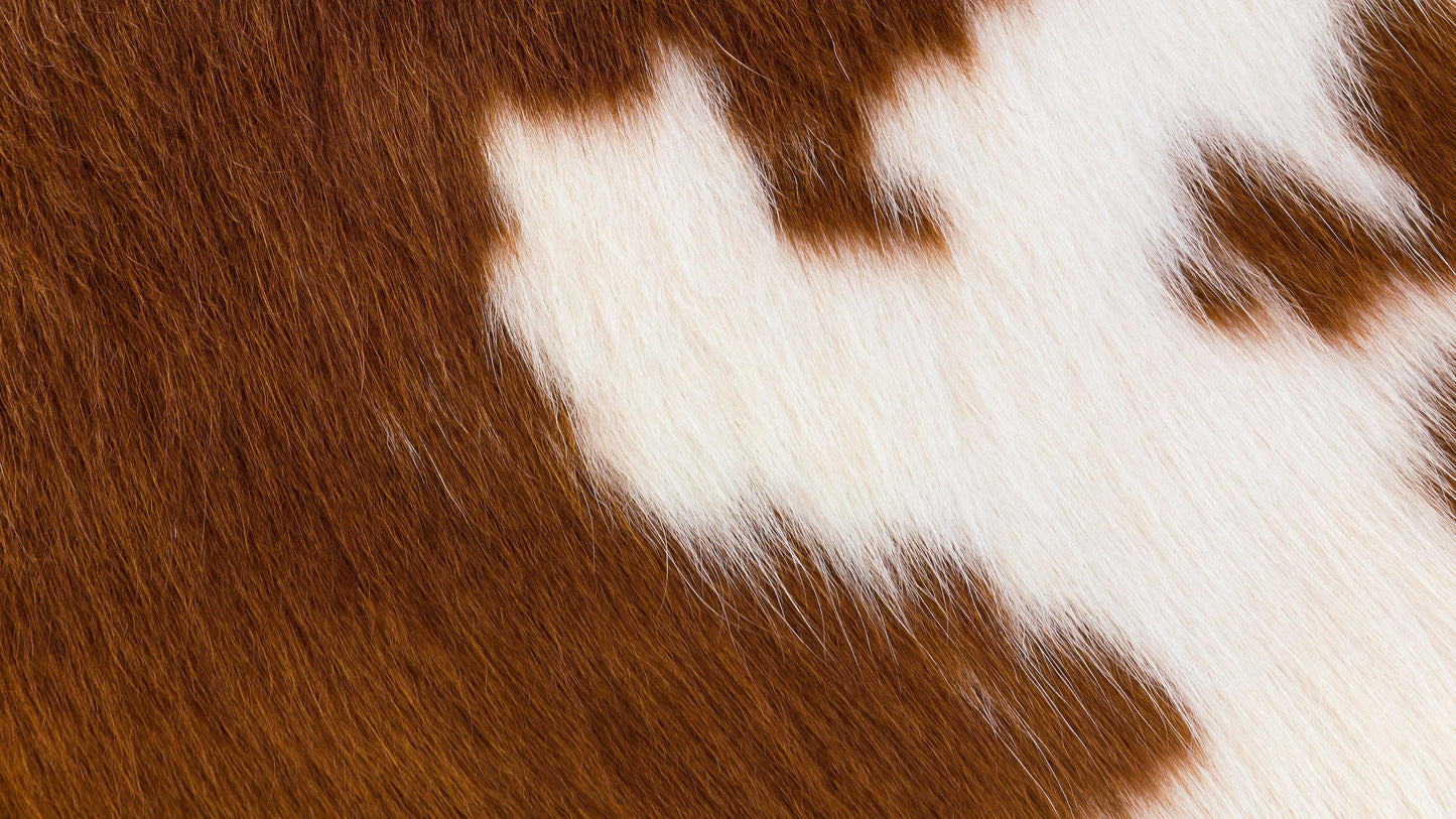 Country-Style Cowhide Wallpaper for Rustic Home Decor. #6541