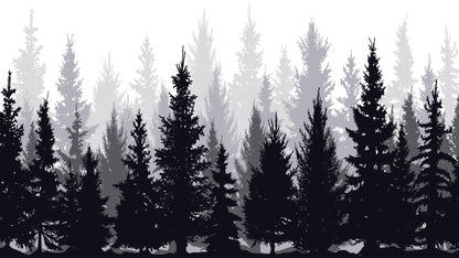 Black and White Pine Tree Forest Wallpaper. #6594