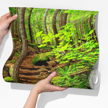 Green Forest Woodland Wall Mural – Nature's Embrace Peel and Stick Wallpaper #6647