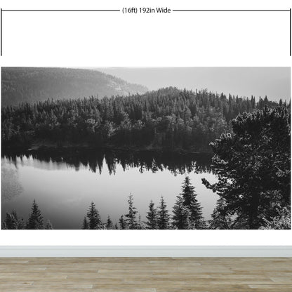 Black and White Mountain Over Looking Lake and Forest Wallpaper. #6671