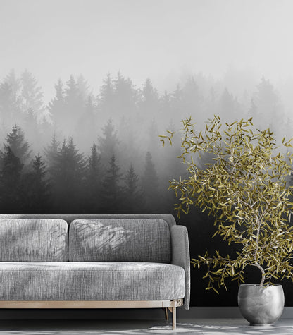 Black and White Misty Pine Forest Wallpaper. #6673