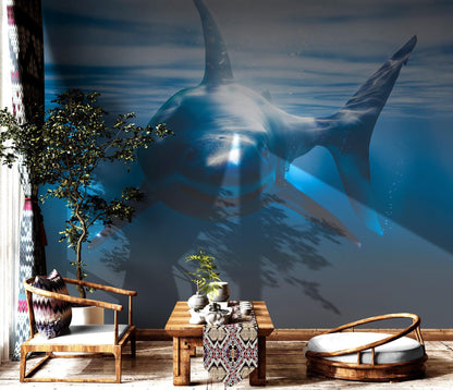 Great White Shark Wall Mural. Peel and Stick Wallpaper. #6700