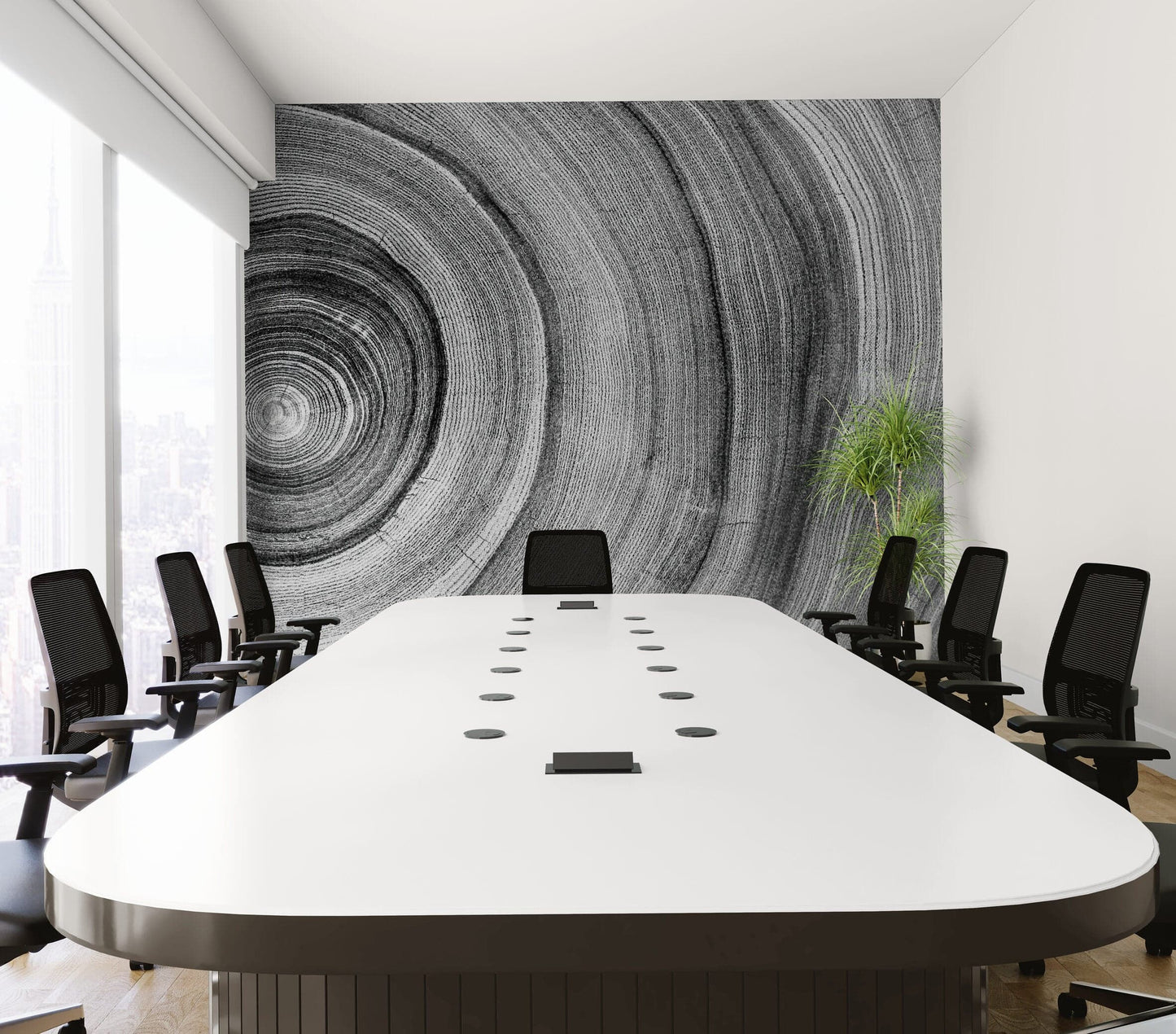 Black and White Tree Rings Wood Grain Circle Pattern. #6971