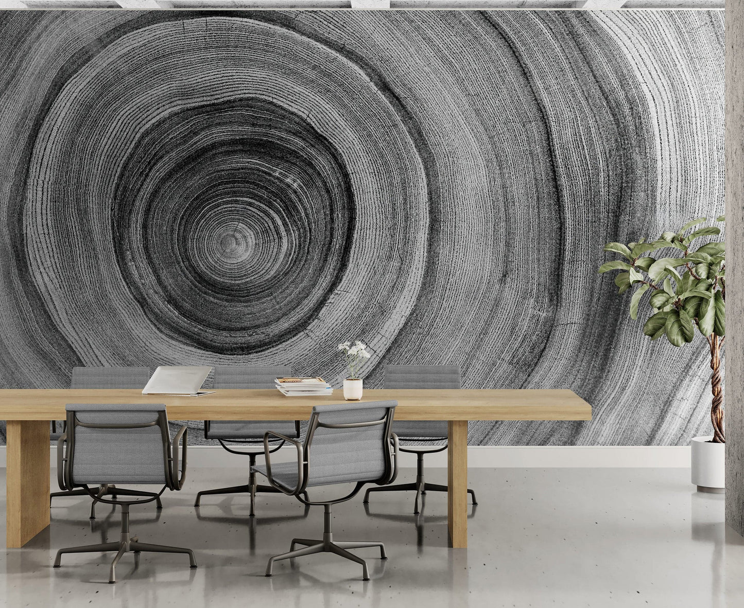 Black and White Tree Rings Wood Grain Circle Pattern. #6971