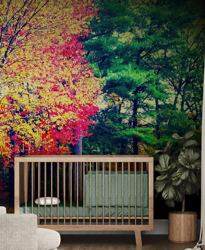 Colorful Autumn Trees Wallpaper Mural. #6981