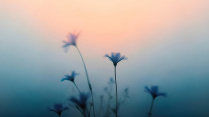 Morning Dew Misty Flower Wallpaper Mural. #7021