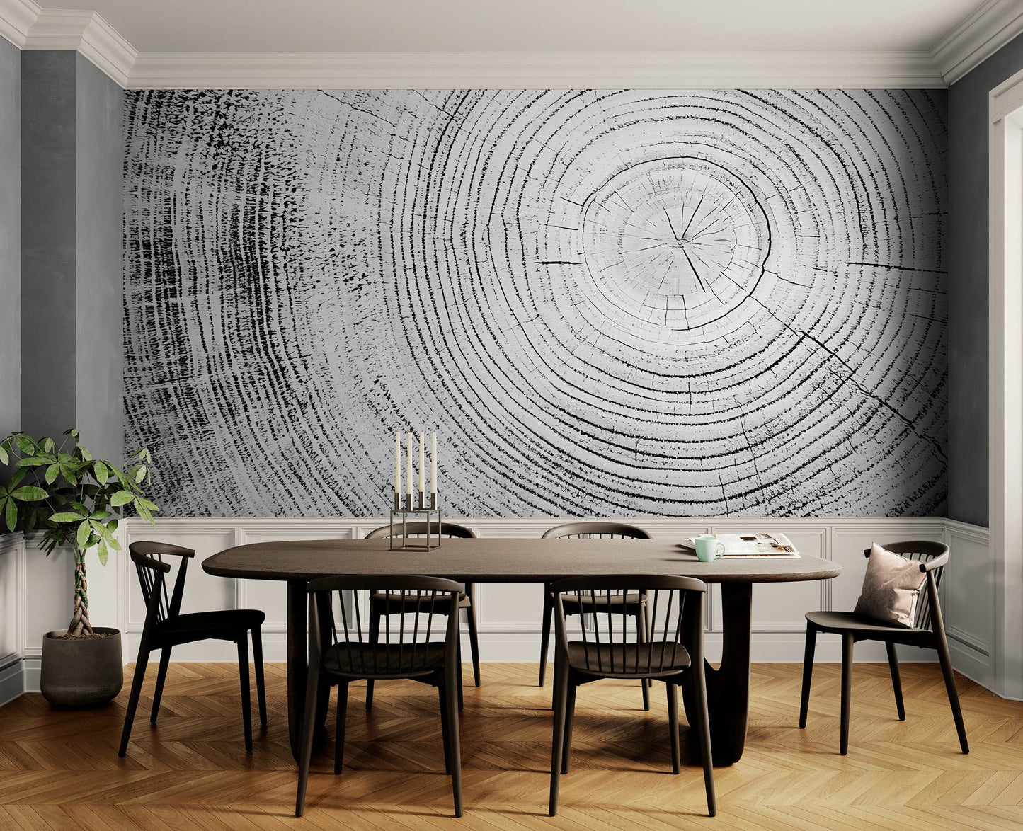 Tree Rings Wallpaper Mural. Black and White  Modern Wood Grain Circle Pattern. #7022
