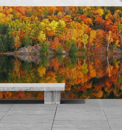 Colorful Autumn Forest Over Lake Wall Mural. Fall Foliage. #7052