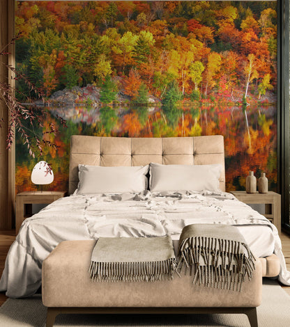 Colorful Autumn Forest Over Lake Wall Mural. Fall Foliage. #7052