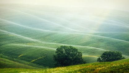 Tuscany Rolling Hills Meadow Wall Mural. Italian Countryside. #7053