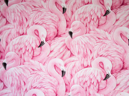 Pink Flamingos Wall Mural – Tropical Wall Art Wallpaper. #7075