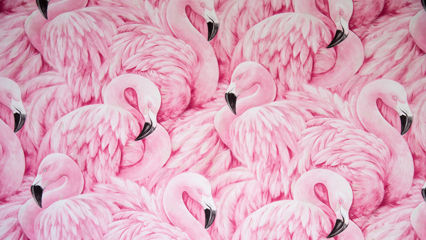 Pink Flamingos Wall Mural – Tropical Wall Art Wallpaper. #7075
