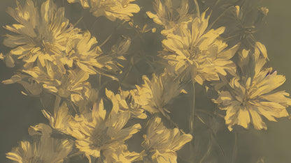 Vintage Sepia Golden Yellow Flower Wall Mural. Warm Tone Floral Wall Mural. #7079