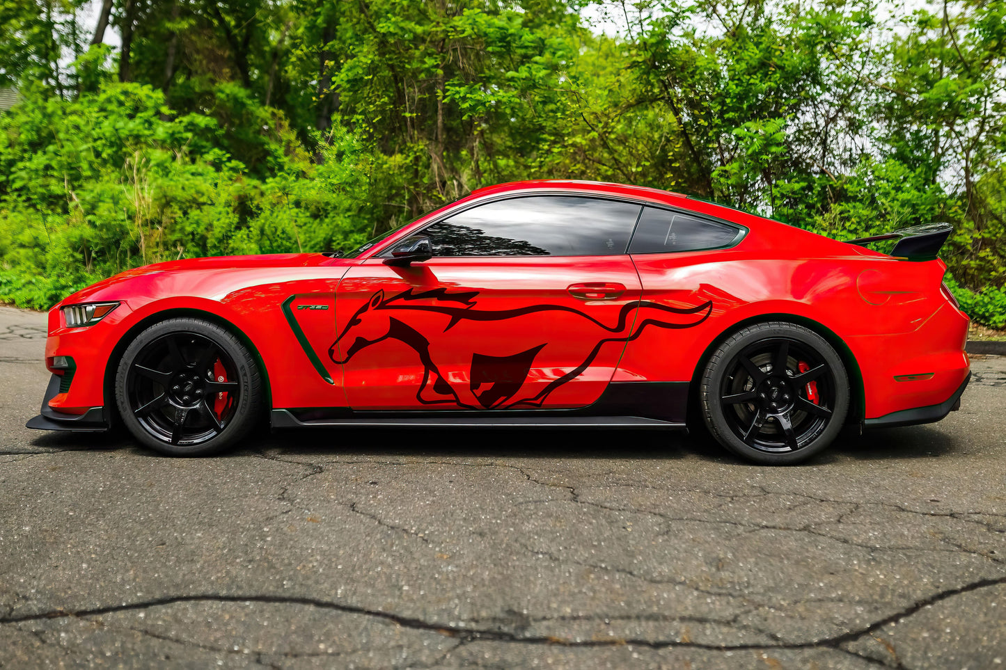 Mustang Horse Graphic Decal for Mustang Car, Mustang Mach-E. #7096