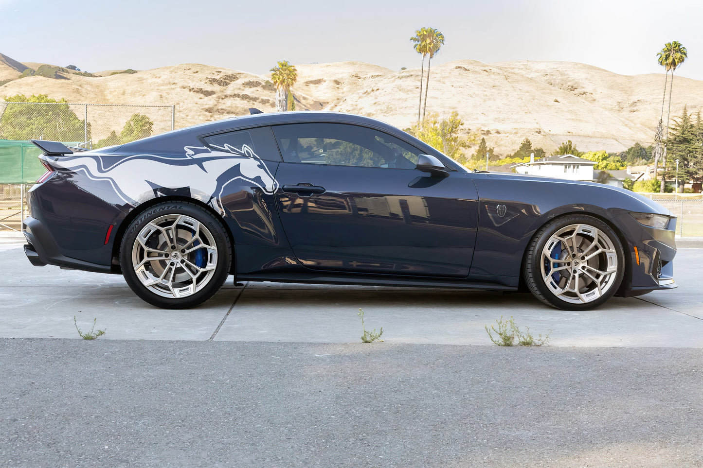 Mustang Horse Graphic Decal for Mustang Car, Mustang Mach-E. #7096