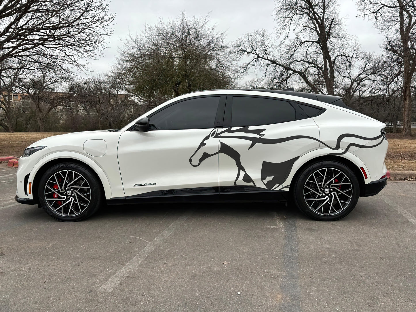 Mustang Horse Graphic Decal for Mustang Car, Mustang Mach-E. #7096