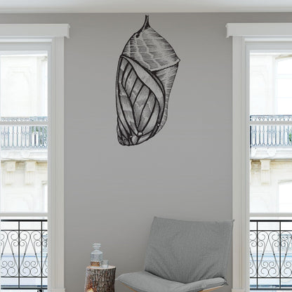 Pupa / Chrysalis / Cocoon Vinyl Wall Decal Sticker. #AEdel134