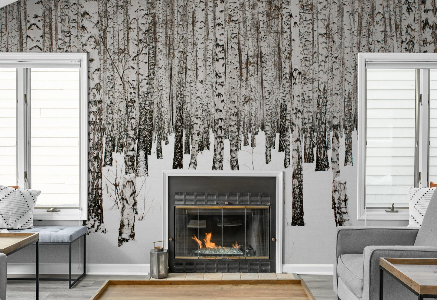 White Birch Tree Forest Wallpaper Mural. IQ-1236