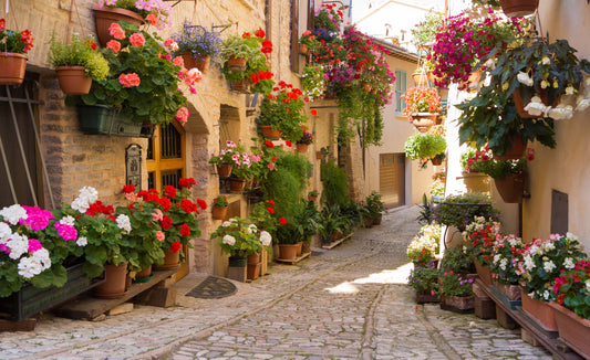 European Village Alleyway with Flowers Wallpaper Mural. #FT-206-VE90