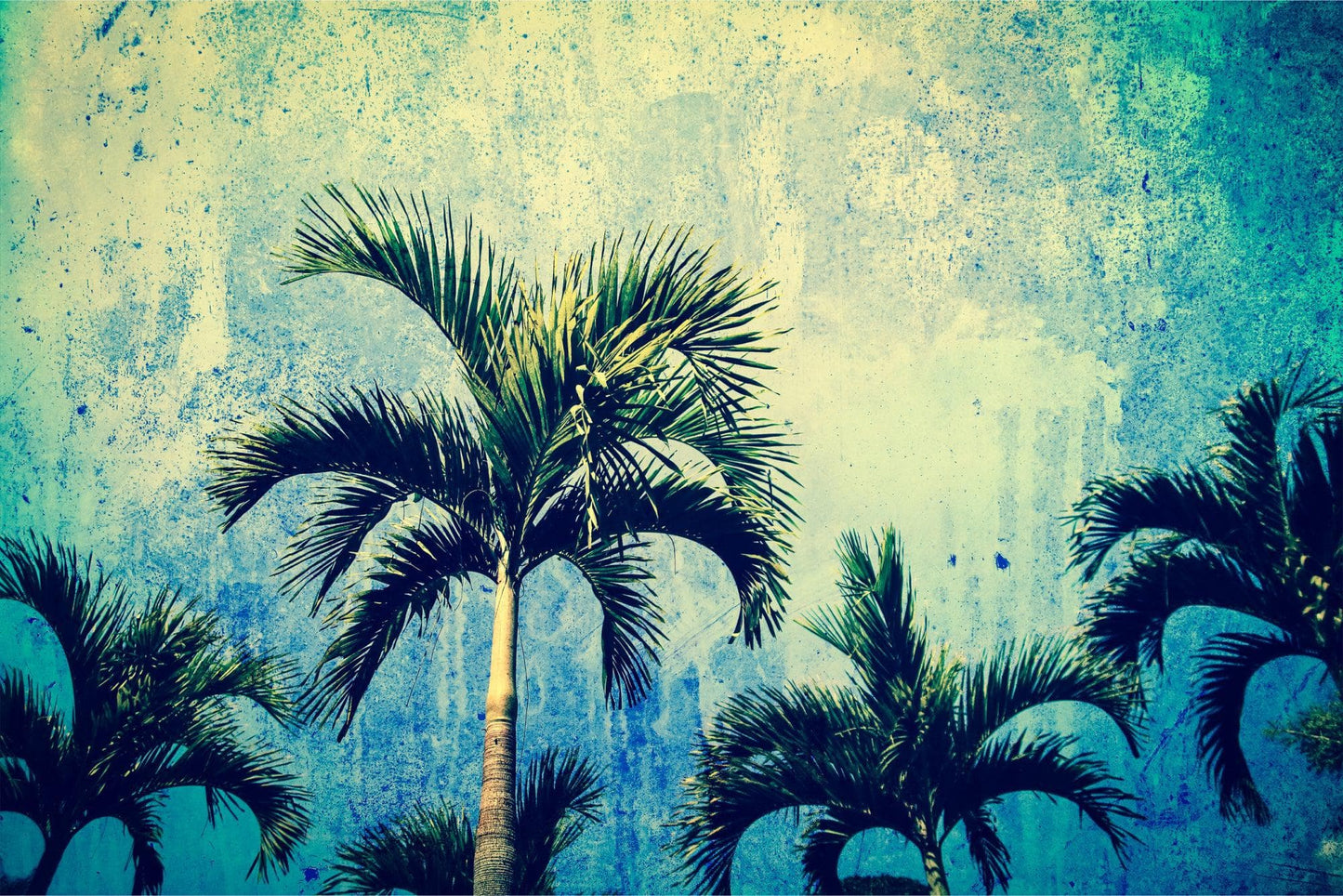 Urban Jungle Tropical Tree Wallpaper Mural. Grunge Decor. #FT-3590