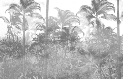 Black and White Tropical Jungle Forest Palm Trees Wallpaper Mural. #FT-448495