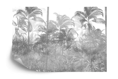 Black and White Tropical Jungle Forest Palm Trees Wallpaper Mural. #FT-448495