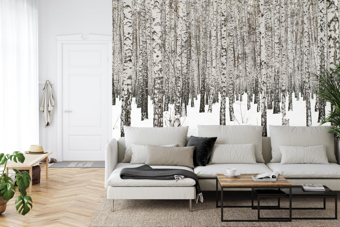 White Birch Tree Forest Wallpaper Mural. IQ-1236