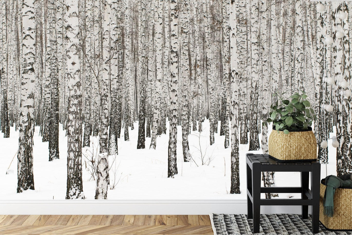 White Birch Tree Forest Wallpaper Mural. IQ-1236