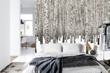 White Birch Tree Forest Wallpaper Mural. IQ-1236