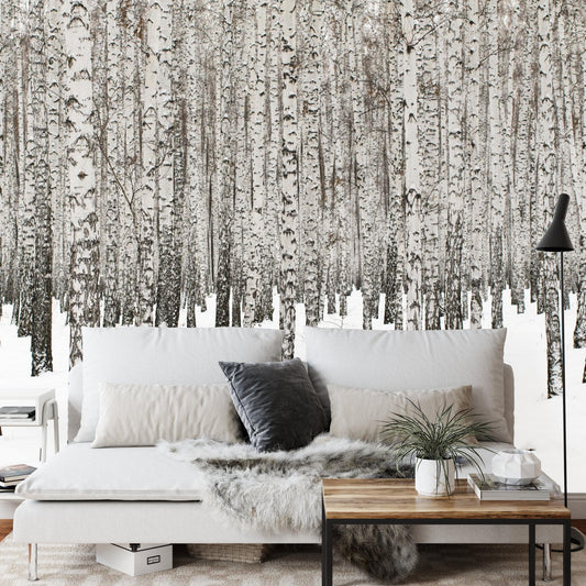 White Birch Tree Forest Wallpaper Mural. IQ-1236