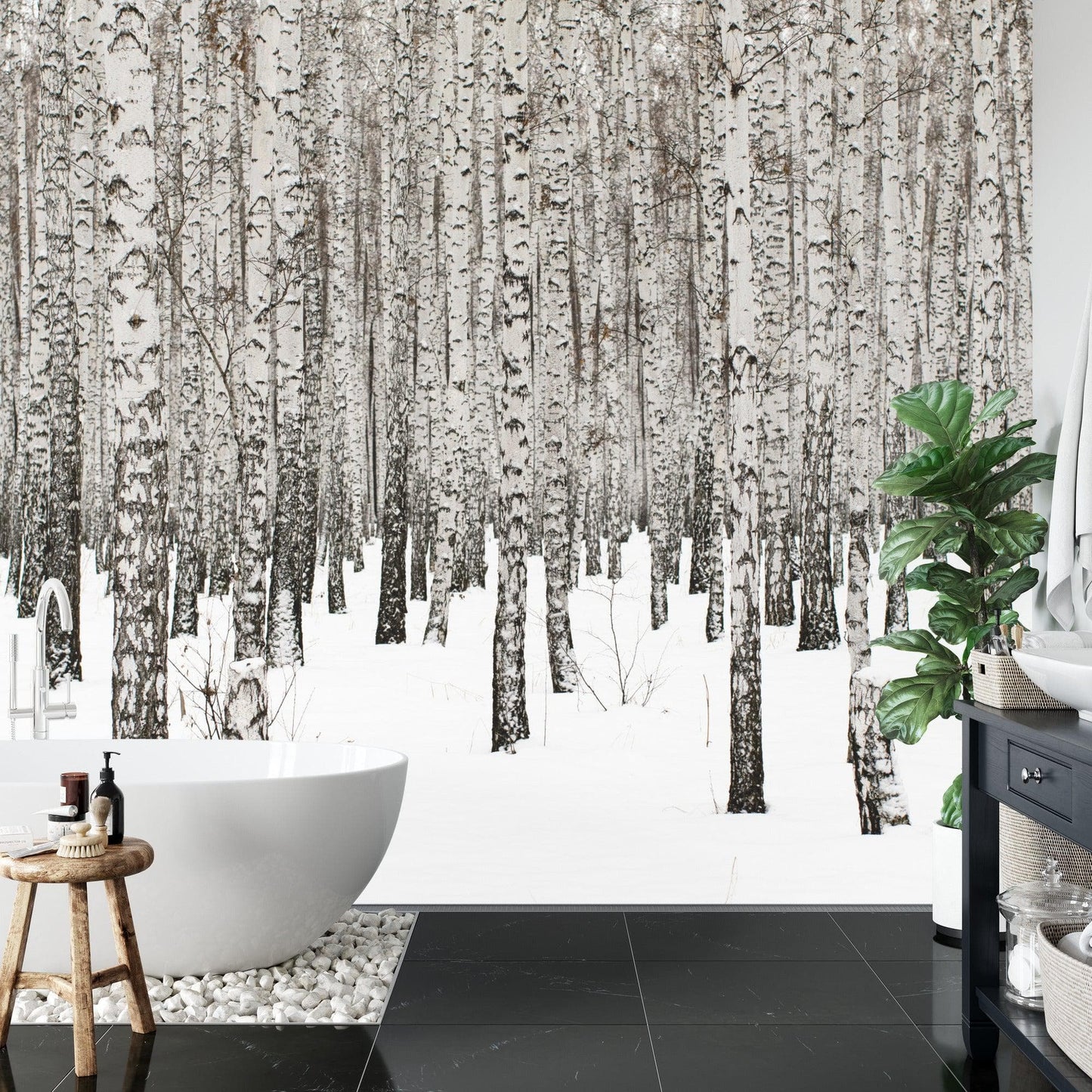 White Birch Tree Forest Wallpaper Mural. IQ-1236