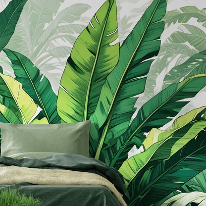 Rainforest Jungle Wallpaper. Banana Leaf Wall Mural. #6788