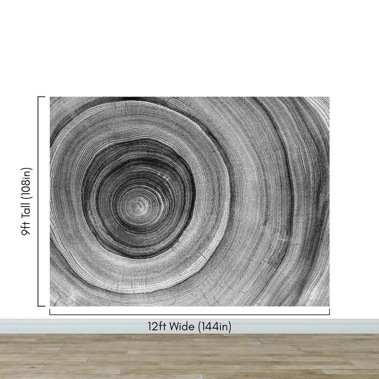 Black and White Tree Rings Wood Grain Circle Pattern. #6971
