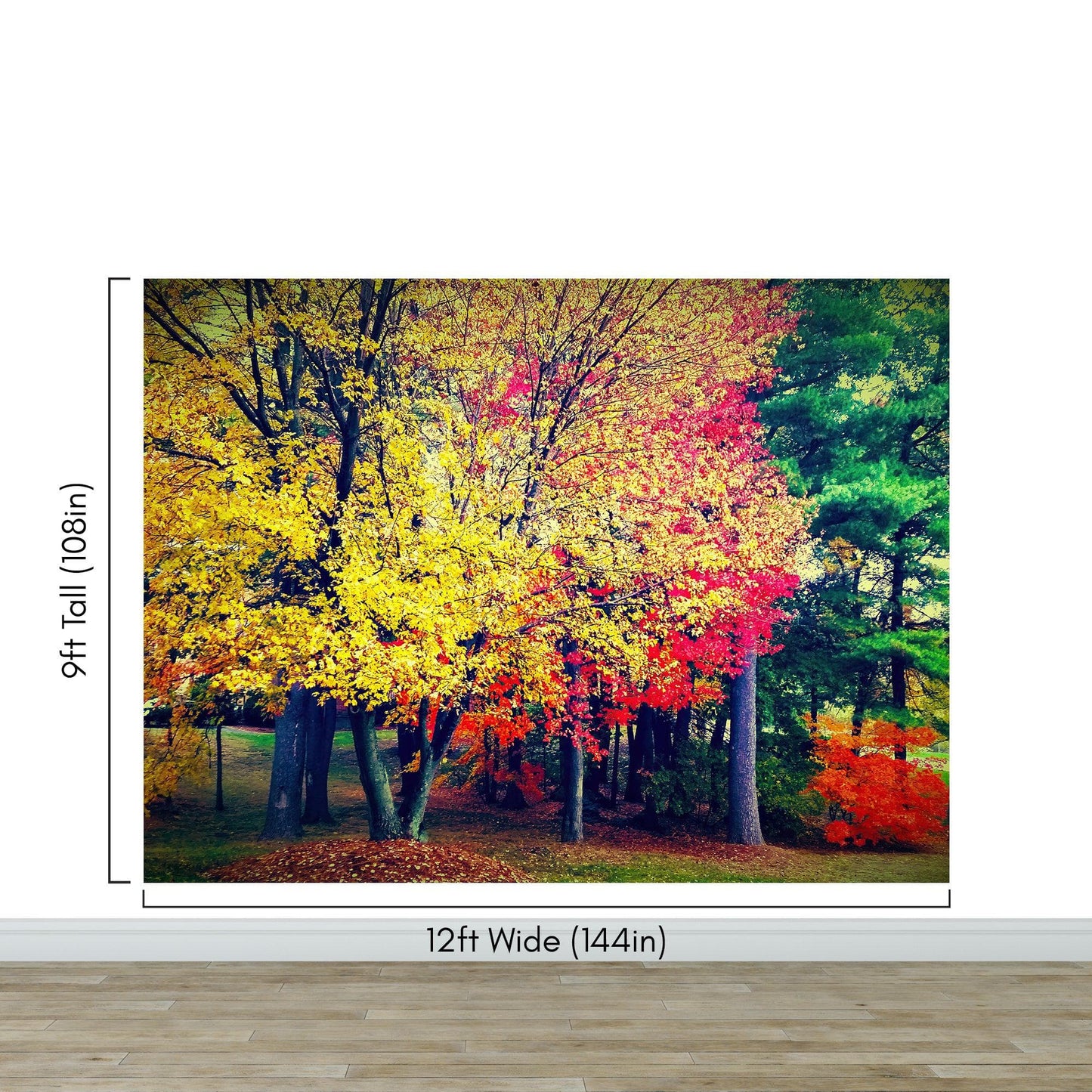 Colorful Autumn Trees Wallpaper Mural. #6981