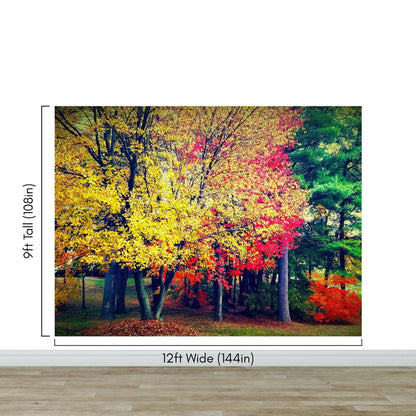 Colorful Autumn Trees Wallpaper Mural. #6981
