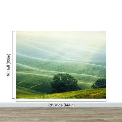 Tuscany Rolling Hills Meadow Wall Mural. Italian Countryside. #7053