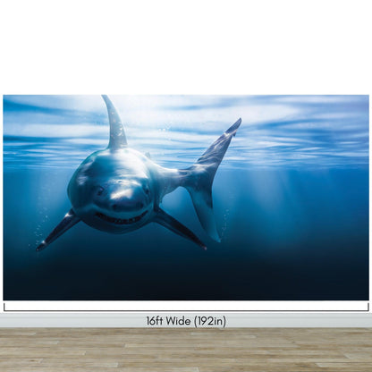 Great White Shark Wall Mural. Peel and Stick Wallpaper. #6700