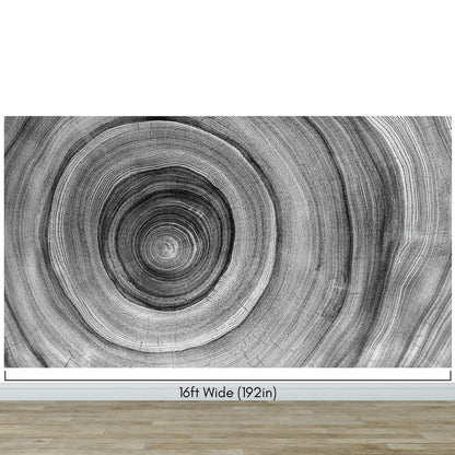 Black and White Tree Rings Wood Grain Circle Pattern. #6971