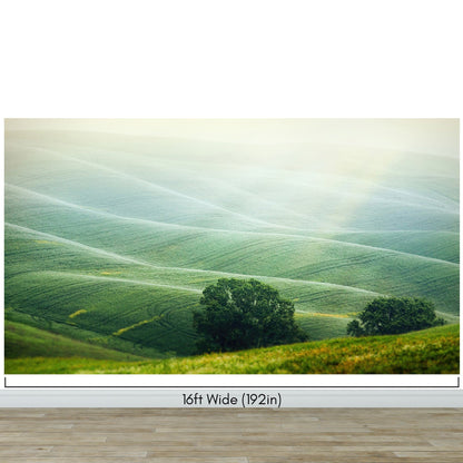 Tuscany Rolling Hills Meadow Wall Mural. Italian Countryside. #7053