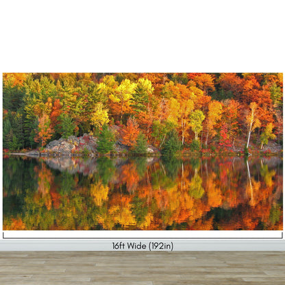 Colorful Autumn Forest Over Lake Wall Mural. Fall Foliage. #7052