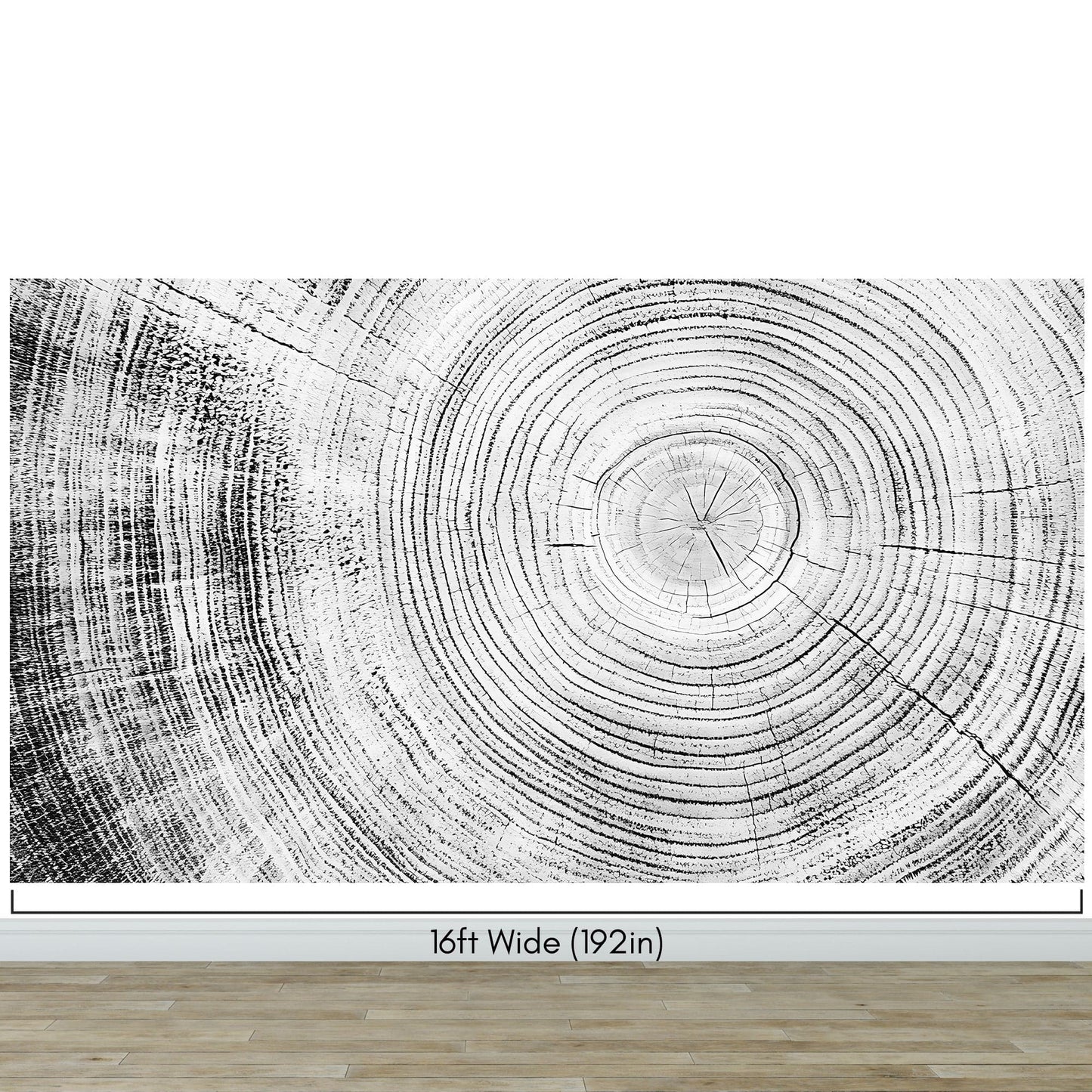Tree Rings Wallpaper Mural. Black and White  Modern Wood Grain Circle Pattern. #7022