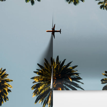 Southern California Palm Trees and Airplane Wallpaper Mural. #6283