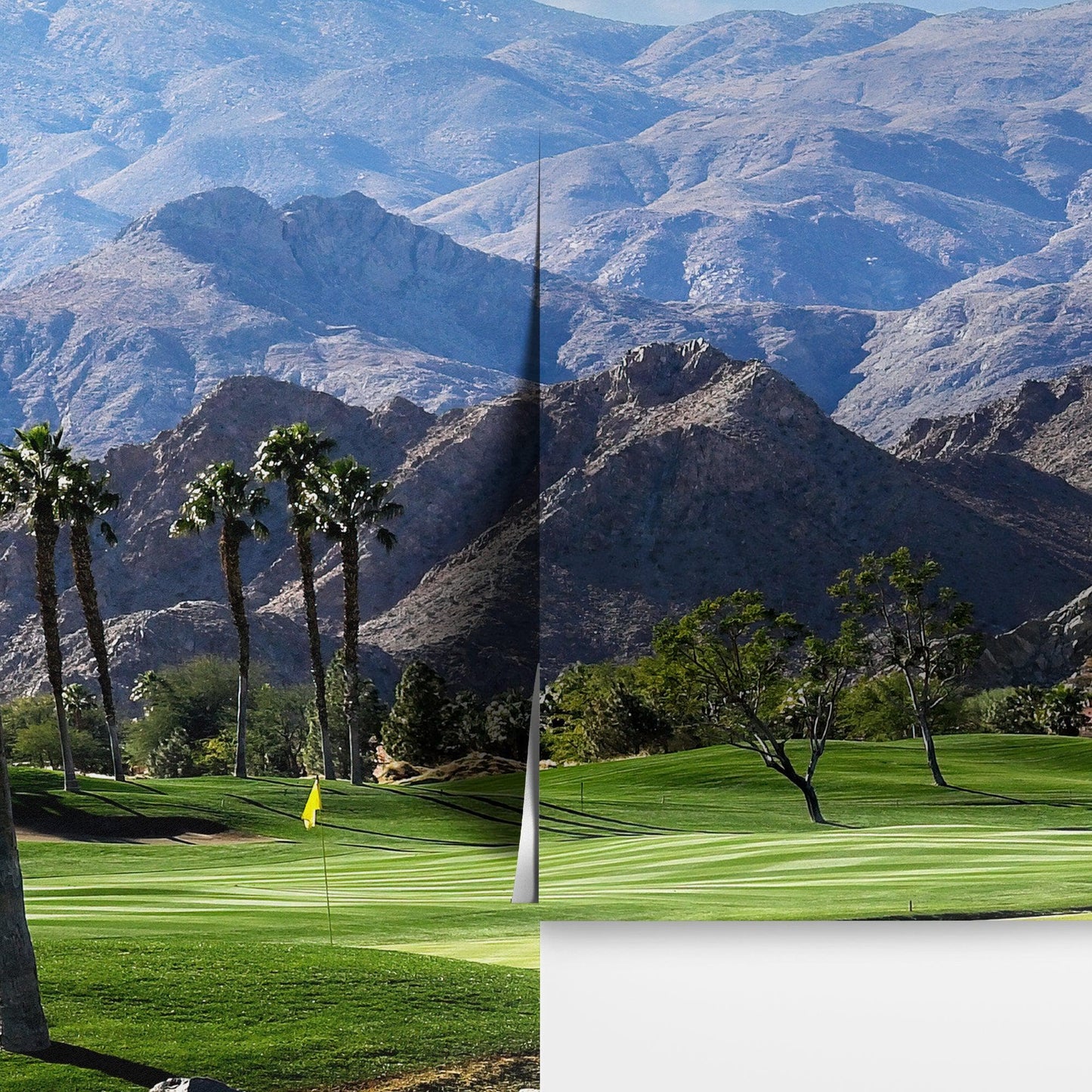 Palm Springs Golf Course Wallpaper Mural. #6979