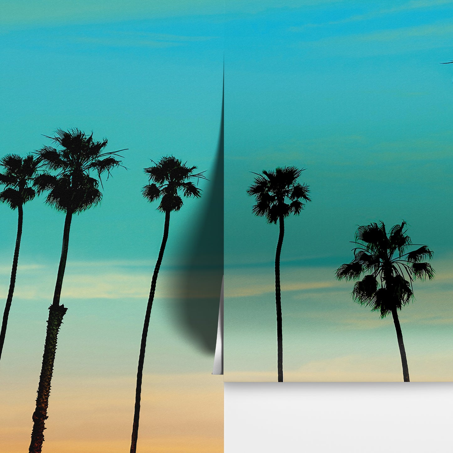 California SoCal Tropical Sunset Palm Trees Large Wall Mural. #6139