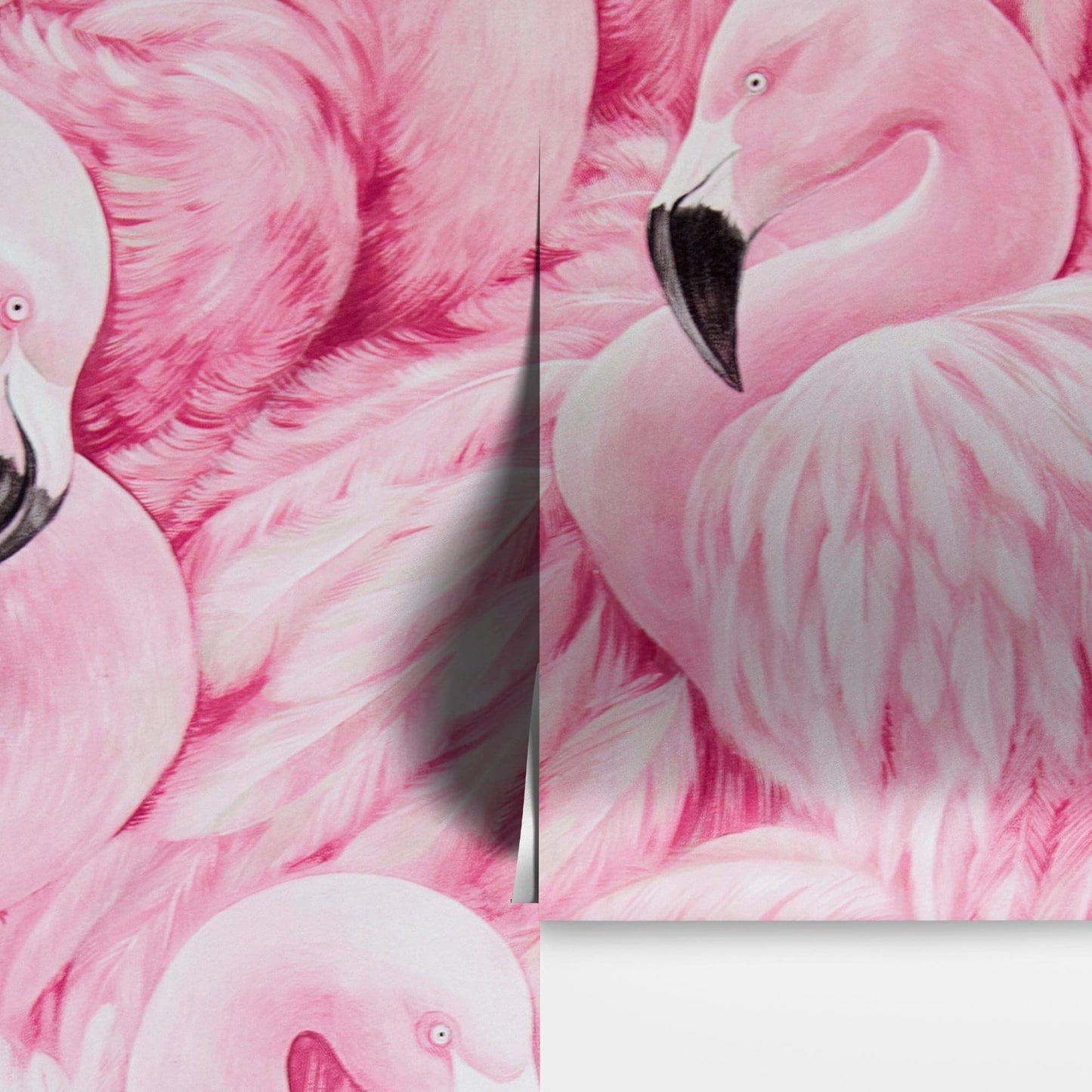 Pink Flamingos Wall Mural – Tropical Wall Art Wallpaper. #7075