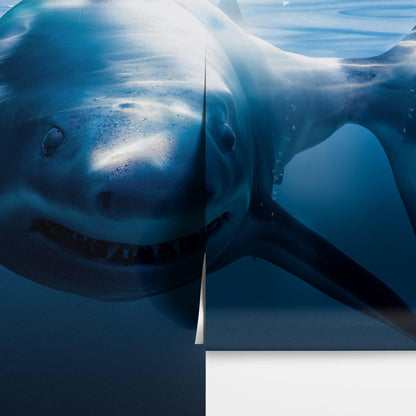 Great White Shark Wall Mural. Peel and Stick Wallpaper. #6700