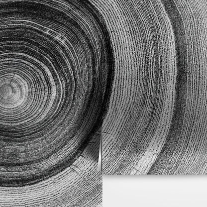 Black and White Tree Rings Wood Grain Circle Pattern. #6971