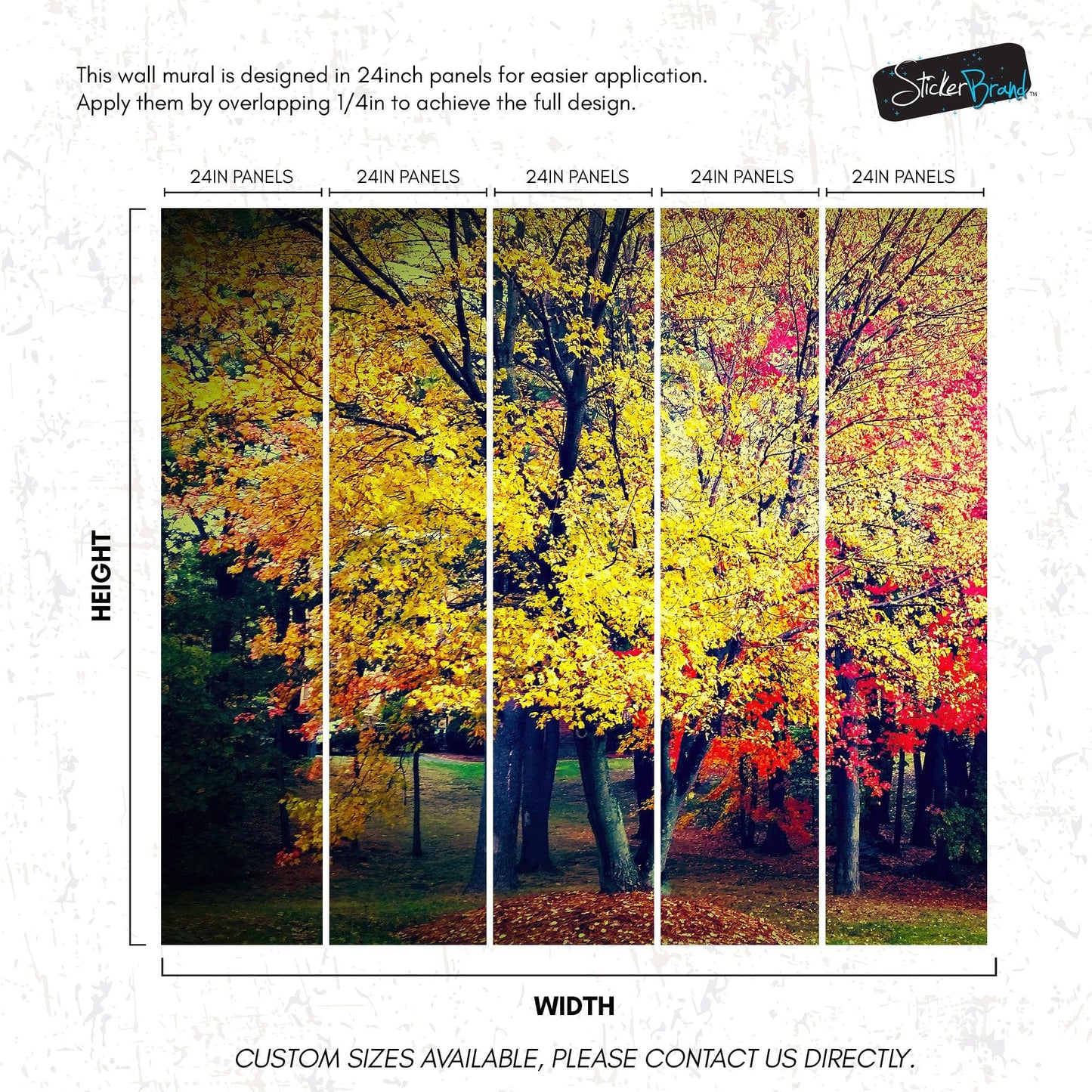 Colorful Autumn Trees Wallpaper Mural. #6981