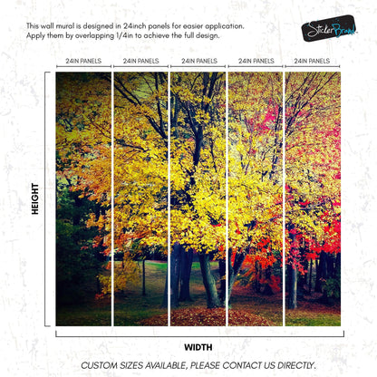 Colorful Autumn Trees Wallpaper Mural. #6981