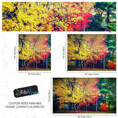 Colorful Autumn Trees Wallpaper Mural. #6981